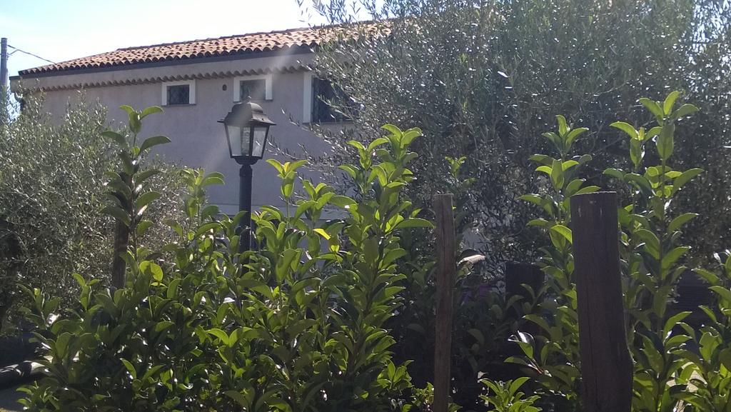 Seacily Etna House Villa Piedimonte Etneo Exterior foto